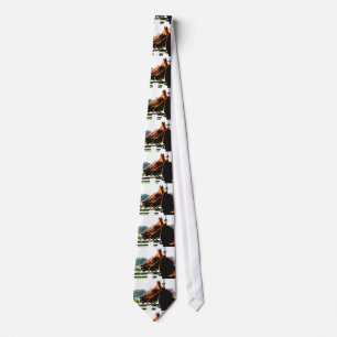 Horse Tävla Tie Slips
