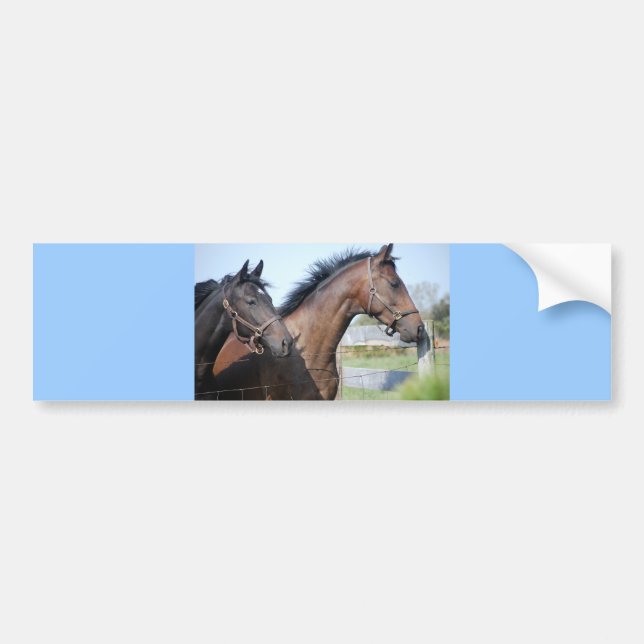 Horse Tävling Avslutar Line Bildekal (Framsidan)