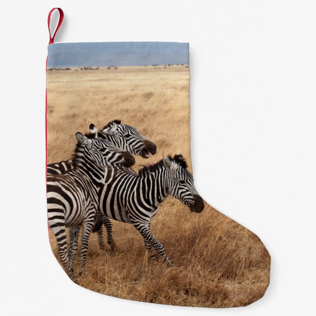 HORSE TÄVLING LITEN JULSTRUMPA (Framsidan)