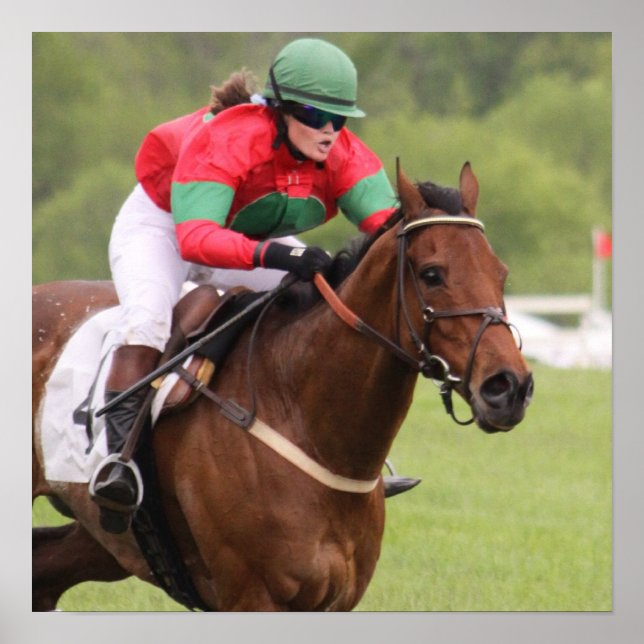 Horse Tävling Poster (Framsidan)
