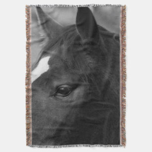 Horse tbcn filt