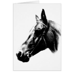 Horse Teckning-teckningskort Hälsningskort