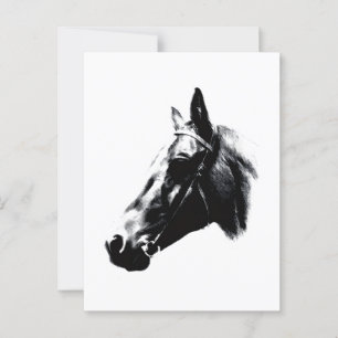 Horse Teckning-teckningskort Vykort
