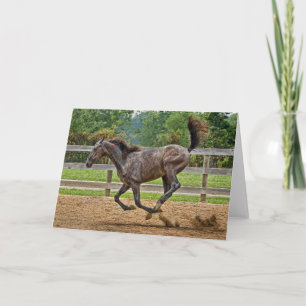 Horse Tennessee Walker Filly Card Kort