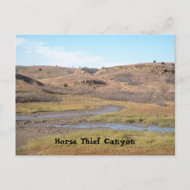 Horse Thief Canyon Vykort (Framsida)
