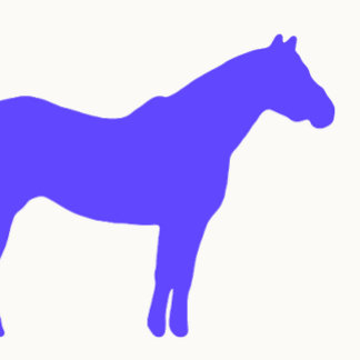 Horse Trainer Business Blue Simple and Modern Visitkort