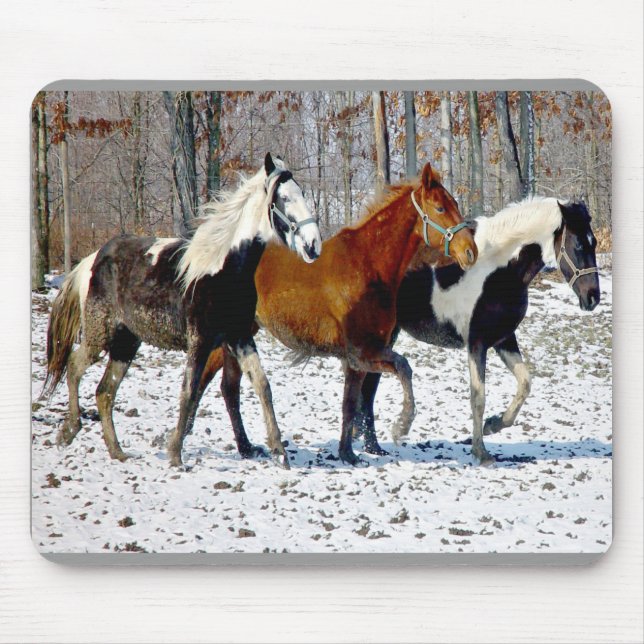 Horse Trio Mousepad Musmatta (Framsidan)