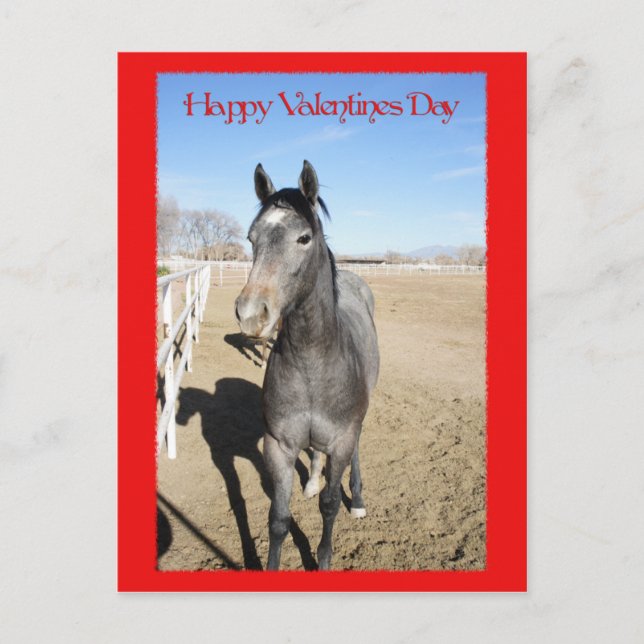 Horse Valentine Helg Vykort (Framsida)