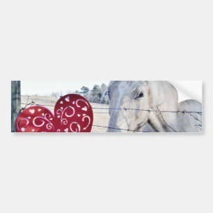 HORSE Valentine Hjärtat Bildekal