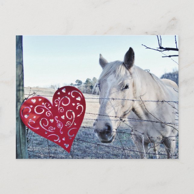 HORSE Valentine Hjärtat Helg Vykort (Framsida)