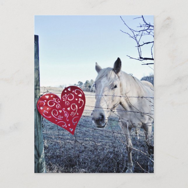 HORSE Valentine Hjärtat Helg Vykort (Framsida)