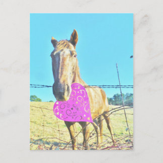 Horse Valentine Rosa och turkos Helg Vykort