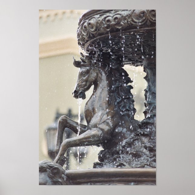 Horse Vatten Fontän Poster (Framsidan)
