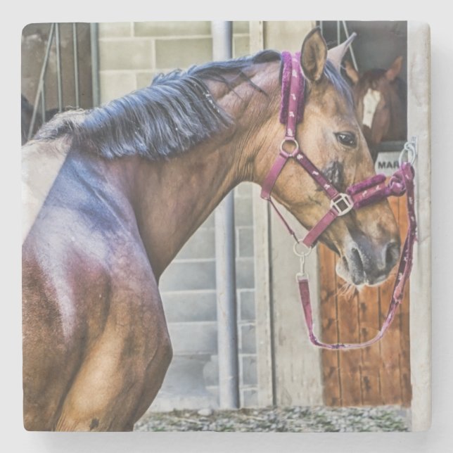 Horse vid Barn Stenunderlägg (Framsidan)