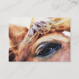HORSE VISITKORT