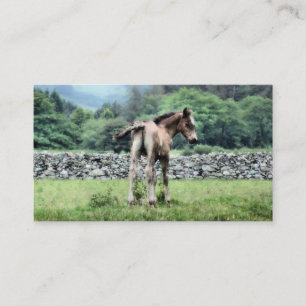 HORSE VISITKORT
