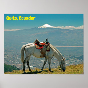 Horse & vulcano, Quito, Ecuador Poster