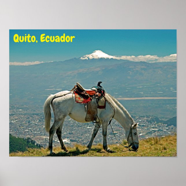Horse & vulcano, Quito, Ecuador Poster (Framsidan)