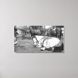 Horse Wall Art Black and White Photobomber Canvastryck