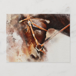 Horse Watercolor Art Vykort