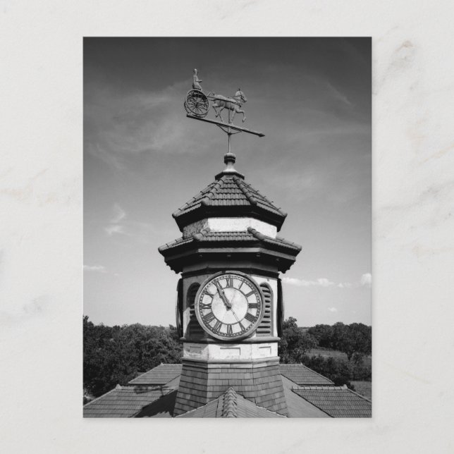 Horse Weather Vane och Clock Torn Vykort (Framsida)