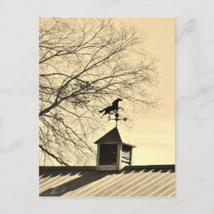 Horse Weather Vane sepia Vykort