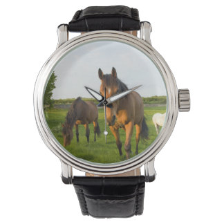 Horse Wrist watch Armbandsur
