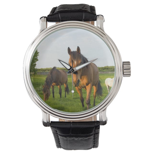 Horse Wrist watch Armbandsur (Framsida)