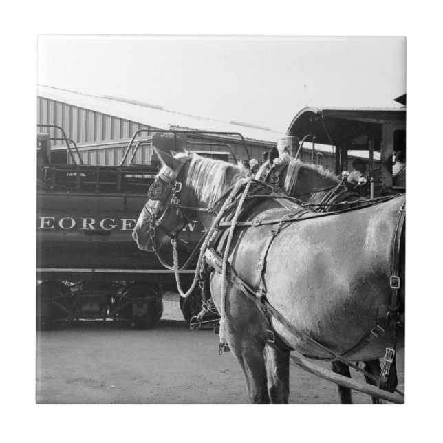 Horseffekt och ångeffekt kakelplatta (Framsidan)