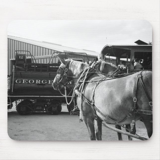 Horseffekt och ångeffekt musmatta (Framsidan)