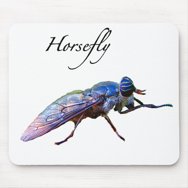 Horsefly Musmatta (Framsidan)