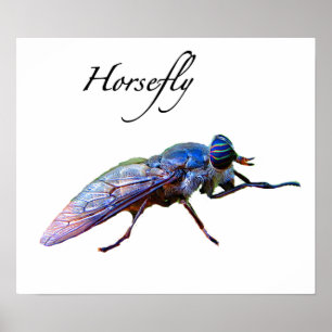 Horsefly Poster