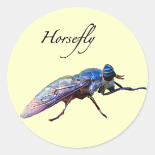 Horsefly Runt Klistermärke