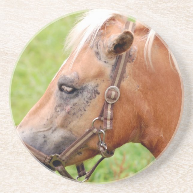 Horsehead 003 underlägg (Framsidan)