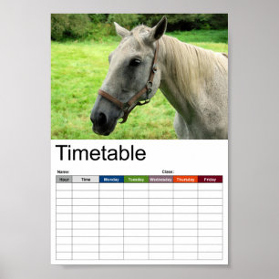 Horsehead 005 Tidtabell Poster