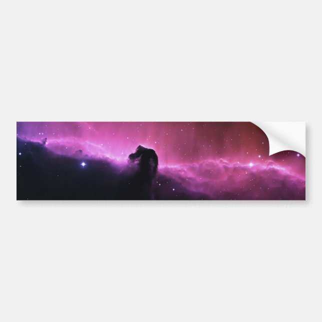Horsehead Nebula Barnard 33 NASA Bildekal (Framsidan)