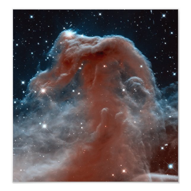 Horsehead Nebula Space Astronomy Fototryck (Framsidan)