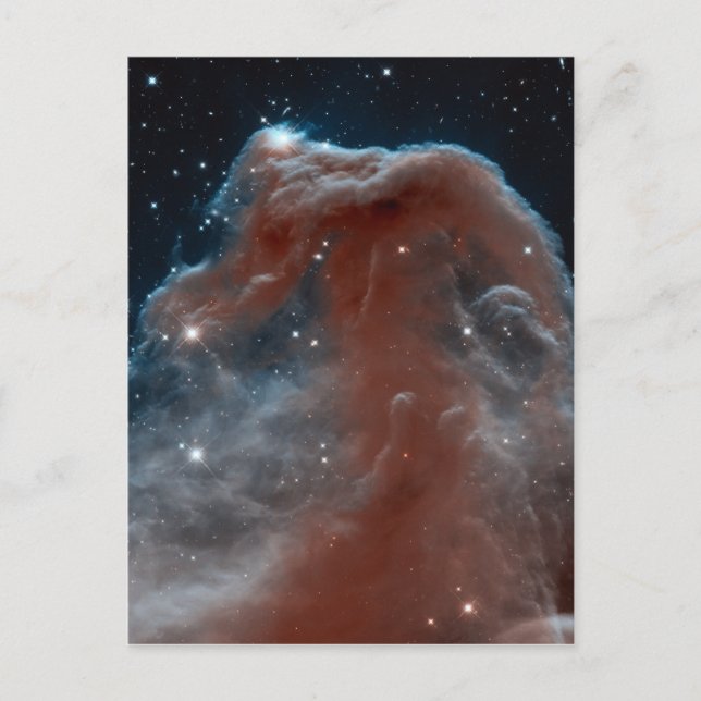 Horsehead Nebula Vykort (Framsida)
