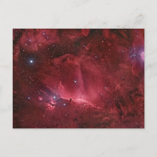 Horsehead Region Vykort
