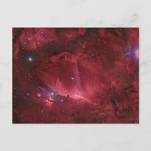 Horsehead Region Vykort (Framsida)