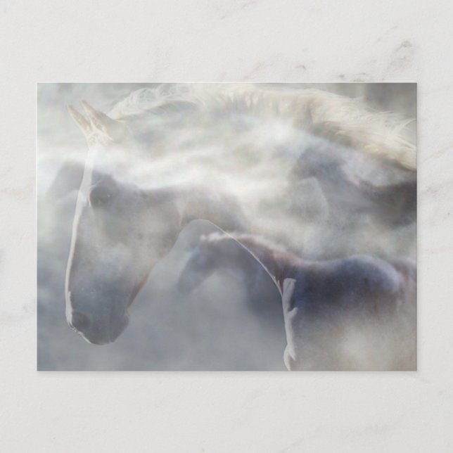 Horsens anda vykort (Framsida)