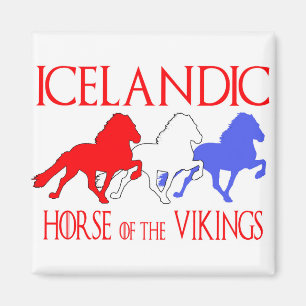 horseofthevikings2019 kopierar magnet