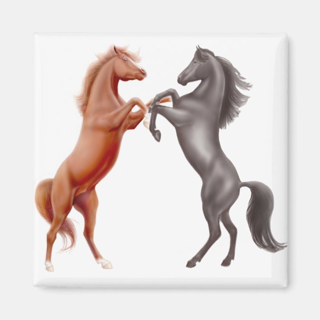 Horseplay Magnet (Framsidan)