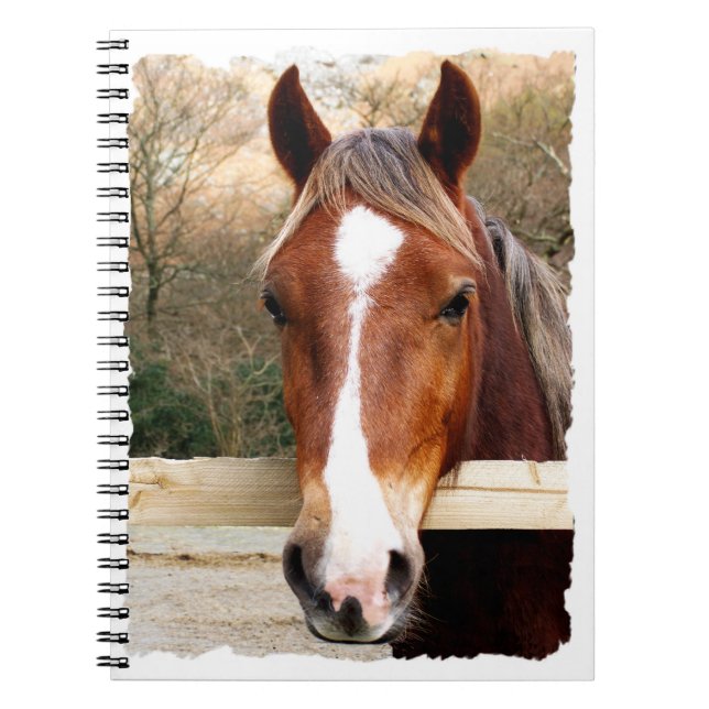 HORSES ANTECKNINGSBOK (Framsidan)