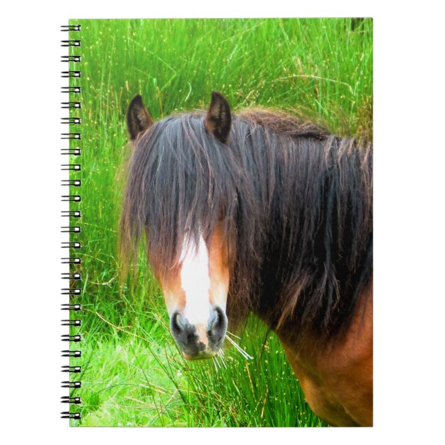 HORSES ANTECKNINGSBOK MED SPIRAL (Framsidan)