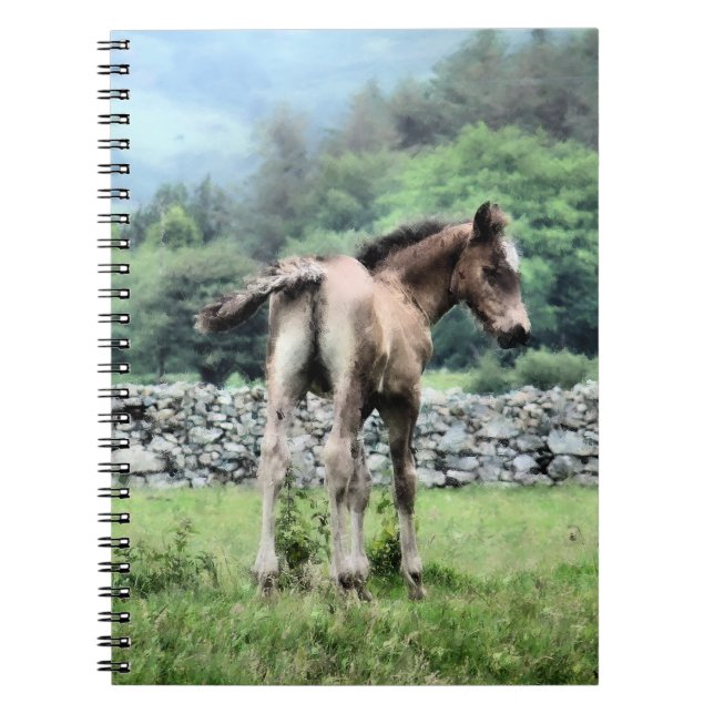 HORSES ANTECKNINGSBOK MED SPIRAL (Framsidan)