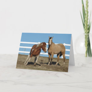 Horses Argue, Vänner över Kort