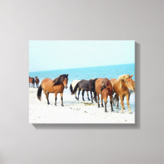 Horses Assateague National Sea Shore Maryland Canvastryck