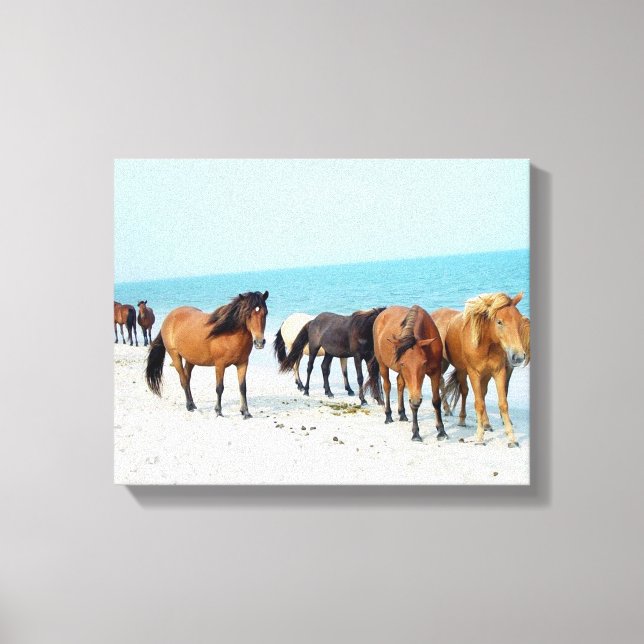 Horses Assateague National Sea Shore Maryland Canvastryck (Framsida)