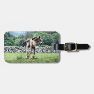 HORSES BAGAGEBRICKA